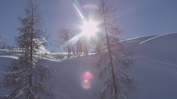 Antenn Naturen Vintern — Stockvideo