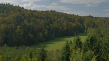 Anteni: Bir orman glade yazlık
