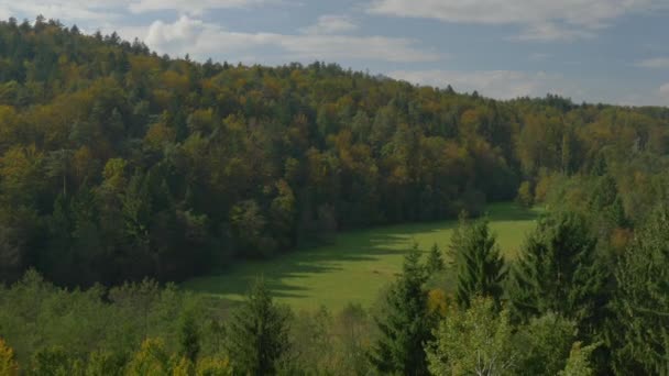 Anteni Bir Orman Glade Yazlık — Stok video