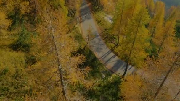 Aerial Idyllic Mountain Road Autumn — Stock video