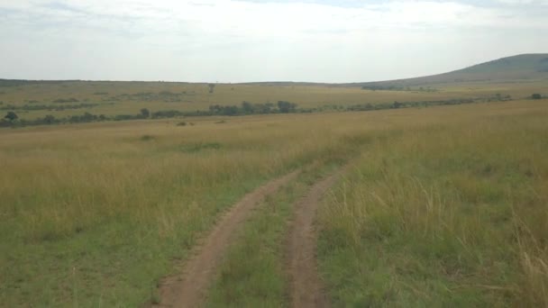 Luchtfoto Rijden Langs Onverharde Weg Afrikaanse Safari — Stockvideo