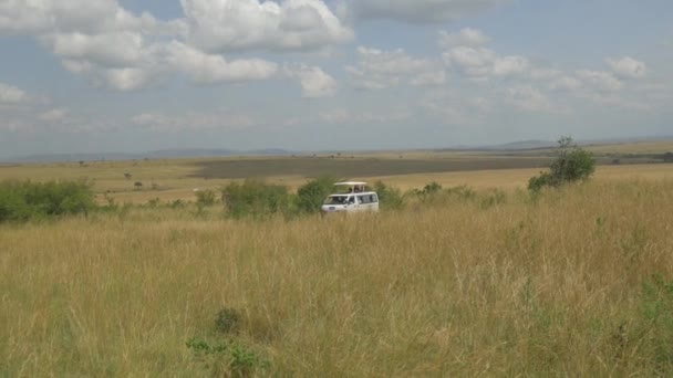 Jeep Con Turistas Conduciendo Través Safari Kenia — Vídeos de Stock