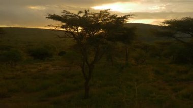 Anteni: Sunset Afrika