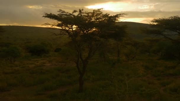 Antenne Sonnenuntergang Afrika — Stockvideo