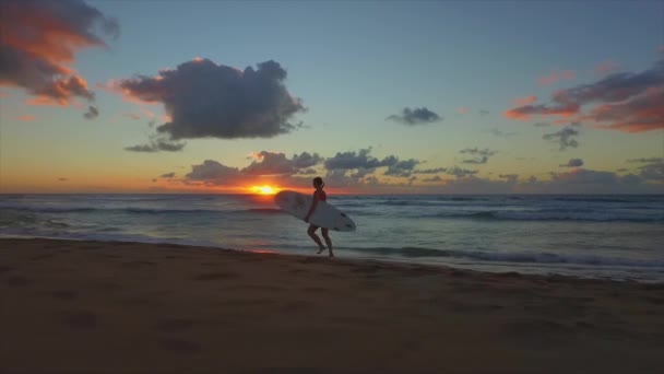 Hava Ağır Çekim Sığ Sularda Onun Surfboard Taşıma Çalışırken Kumsalda — Stok video