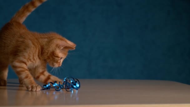 慢动作 可爱的毛茸茸的生姜猫咪用蓝色圣诞装饰带子玩耍 橙色的胖胖的小猫玩耍着 咬着躺在空木桌上的一卷闪闪发亮的装饰带子 — 图库视频影像