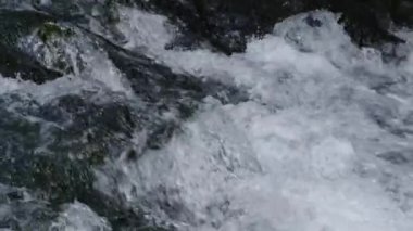 Slovenya 'nın ücra bir köşesindeki kasvetli bir ormanın göbeğindeki yosunlu kayaların üzerinden akan berrak nehir akıntıları. Kasvetli ormanda akan derenin ayrıntılı görüntüsü..
