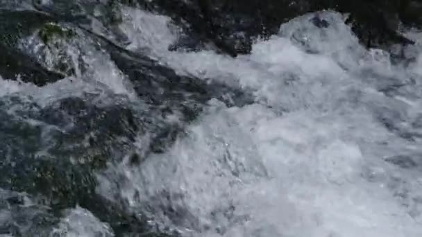 缓慢的运动 水晶清澈的河流急流在斯洛文尼亚偏远的森林深处的苔藓岩石上飞溅 溪流在阴暗的树林中奔流的详细镜头 — 图库视频影像