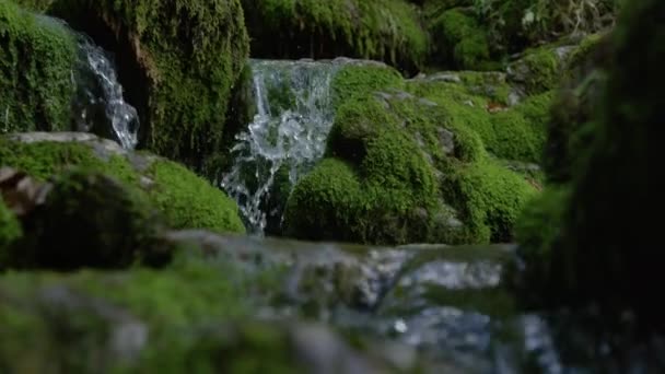 Slow Motion Close Dof Glistening Crystal Clear Stream Water Plandes — Video Stock