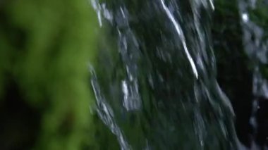 Glassy nehri suları yemyeşil yosunlarla kaplı kayaların yanından geçiyor. Yosunlu bir nehir yatağının detaylı görüntüsü ve sessiz bir ormanın göbeğindeki çağlayan bir derenin yanındaki zemin..