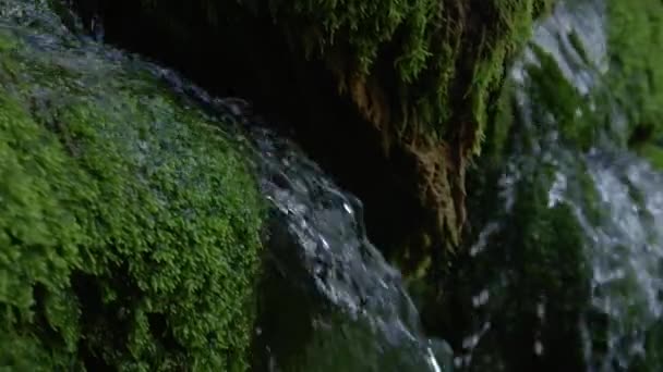 Slow Motion Close Dof Refreshing Cold River Water Courses Dreary — Stock Video