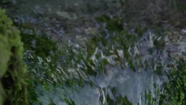 缓慢的运动 Dof 闪耀的水晶清澈的河水流过位于斯洛文尼亚一片寂静阴郁的森林中心的苔藓岩之上 玻璃般的溪流在树林中穿行的详细镜头 — 图库视频影像