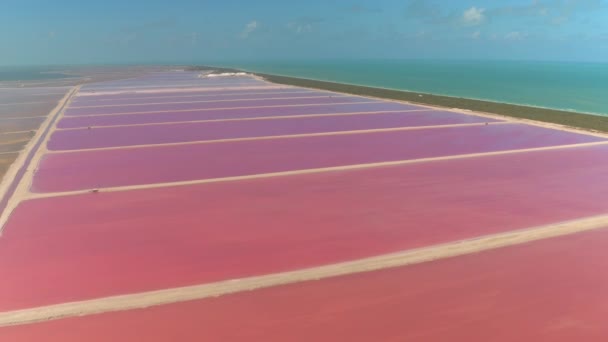 Aerial Vliegen Adembenemende Roze Gekleurde Lagunes Van Beroemde Las Coloradas — Stockvideo