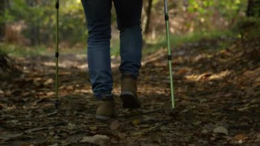 Kırmızı ceketli tanınmayan yaşlı kadın manzaralı bir orman patikası boyunca yürümeye devam ediyor. Beyaz kadın güzel bir sonbahar öğleden sonrasında canlı bir ormanı keşfederek egzersiz yapıyor..