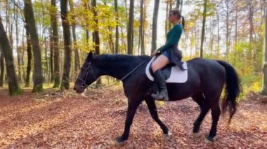 Genç Kafkas dişisi güneşli bir sonbahar gününde, sakin bir orman patikası boyunca atına biniyor. Formda bir kadın, sonbaharda kırsal kesimde manzaralı yolda kestane atına biniyor.