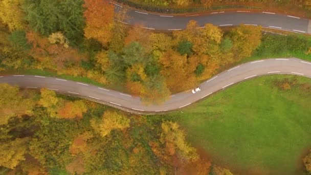 Aerial Drohnenaufnahmen Von Touristenautos Die Durch Die Farbenfrohe Herbstliche Slowenische — Stockvideo