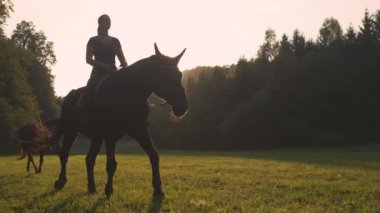 LOW ANGLE: Young Caucasian woman leads her horses into a goldenlit meadow.
