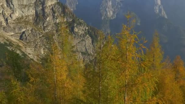 Aerial Πορτοκαλί Και Κίτρινα Φθινοπωρινά Δέντρα Στα Βουνά — Αρχείο Βίντεο