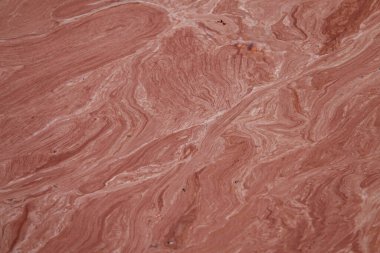 Pislik ve çiçek açan mikro bakteriler kirlenmiş bir göleti açık kahverengiye boyuyor. Kirli bir gölün yüzeyinde kırmızı renkli siyanobakteriler yüzer. Çiçek açan siyanobakteriler göl suyunun renk değiştirmesine neden olur.