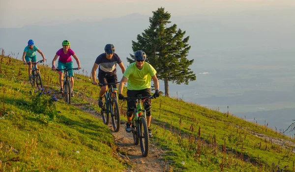 Four Active Friends Riding Electric Bikes Narrow Mountain Trail Idyllic — Stock Photo, Image