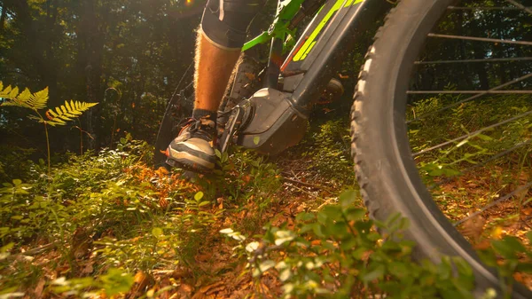 低角度 当无法辨认的极端男性山地自行车手骑着电动车穿过阳光普照的寂静森林时 干燥的树叶和覆盖在地面上的小分枝在空中飞舞 免版税图库图片
