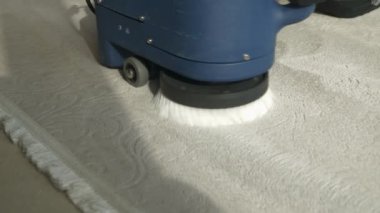 Use of rotary brush to remove particles from carpet at deep cleaning. Thorough process of spring-cleaning of floor rugs with electric household accessories. Domestic housework for tidy home