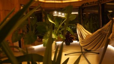 Relaxing evening ambience in the embrace of lushly growing tropical houseplants. Comfortable hammock and beautiful exotic plants with bold and vibrant greenery illuminated by elegant ceiling lights.