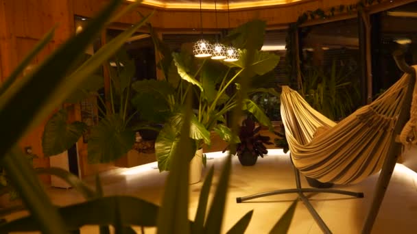 在茂密的热带植物的怀抱中 放松夜晚的氛围 舒适的吊床和美丽的异国情调的植物 大胆和充满活力的绿色 由优雅的天花板灯照亮 — 图库视频影像