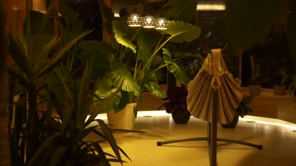 在茂密的热带植物的怀抱中 放松夜晚的氛围 舒适的吊床和美丽的异国情调的植物 大胆和充满活力的绿色 由优雅的天花板灯照亮 — 图库视频影像