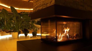 Burning fireplace for relaxing mood in indoor jungle filled with tropical plants. Beautiful exotic houseplants with bold and vibrant greenery and comfortable hammock for cosy evenings in living room.