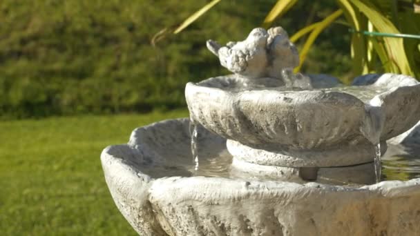 Close Decorative Outdoor Fountain Running Water Green Spring Garden Atmospheric — Stockvideo