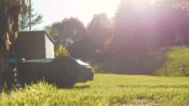 LENS FLARE, CLOSE UP: Robotic lawn mower on charging station in golden light. Electric autonomous gardening device docked on a charge-point for recharging battery after mowing green garden grass.