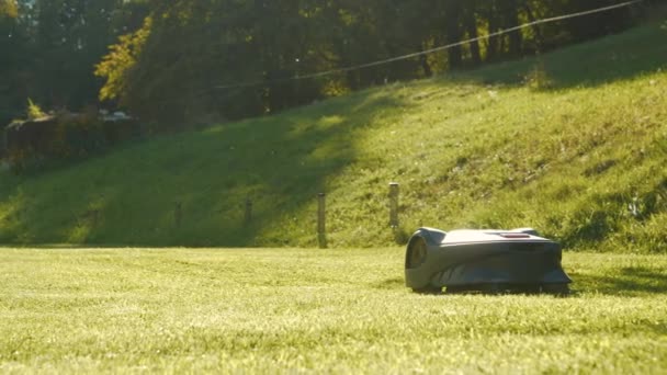 Close Autonomous Robotic Lawn Mower Trimming Green Grass Summer Garden — Stock video