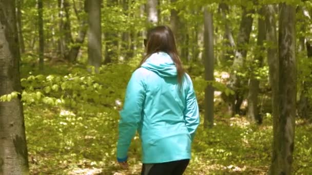 Persona Femminile Che Cammina Attraverso Una Lussureggiante Verde Foresta Faggi — Video Stock