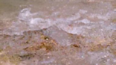 Vahşi dağ nehrinin kaynak suyu güneşte parlıyor. Dalgalı güzel bir hareketle akan akarsu. Saf ve el değmemiş Alp nehrinde su sıçratan küçük akıntıların soyut görüntüsü