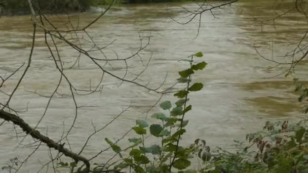 Підвищений Рівень Води Швидкоплинної Брудної Річки Після Сильних Весняних Опадів — стокове відео