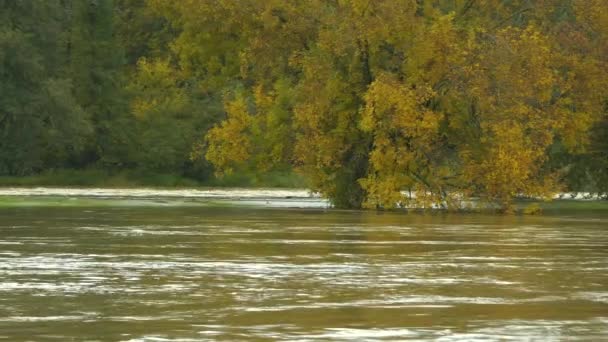 Şiddetli Bahar Yağmurundan Sonra Hızlı Akan Çamurlu Bir Nehrin Seviyesi — Stok video
