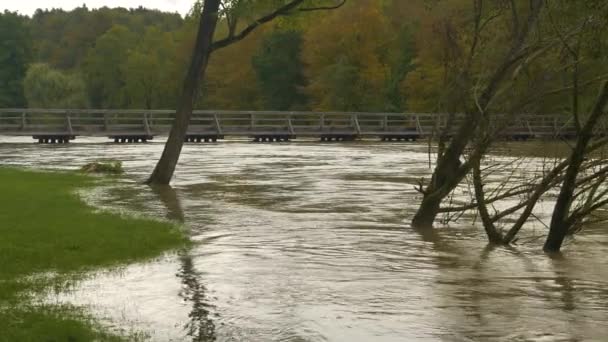 Ökad Vattennivå Snabbt Rinnande Lerig Flod Efter Kraftiga Vårregn Rasande — Stockvideo