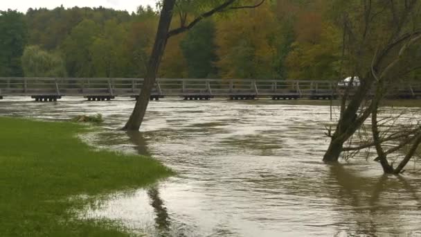 Verhoogd Waterpeil Van Een Snel Stromende Modderige Rivier Hevige Regenval — Stockvideo