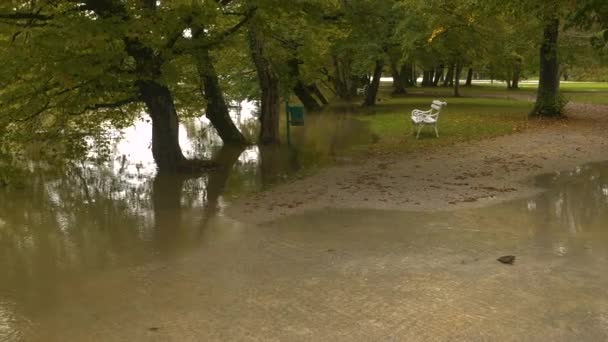 Vit Parkbänk Det Smutsiga Översvämningsvattnet Spillande Flod Efter Höstregn Leriga — Stockvideo