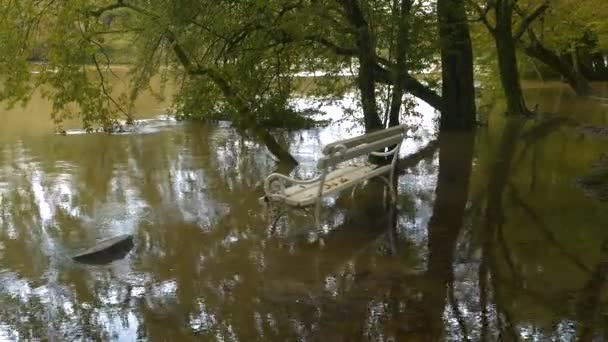 Sonbahar Yağmurundan Sonra Akan Bir Nehrin Kirli Taşkın Suyunda Beyaz — Stok video