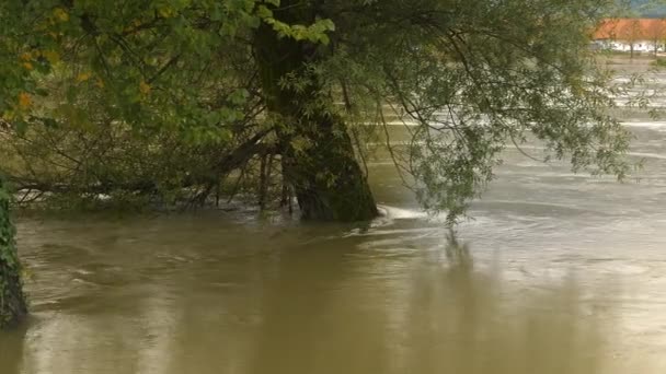 Cerrar Agua Inundación Sucia Río Que Sube Corriendo Alrededor Del — Vídeo de stock