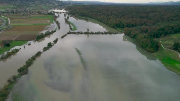 Yükselen Çamurlu Nehir Kıyılarını Taşırıyor Kırsal Bölgeleri Sel Basıyor Sonbahar — Stok video