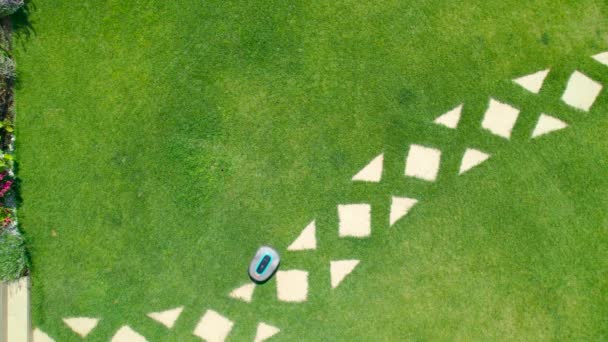 空中トップダウン 手入れの行き届いた庭で緑の芝生を切断する自動芝刈り機 裏庭に手入れの行き届いた芝生を維持するためのロボット園芸機器 美しい庭園のための近代的な技術 — ストック動画