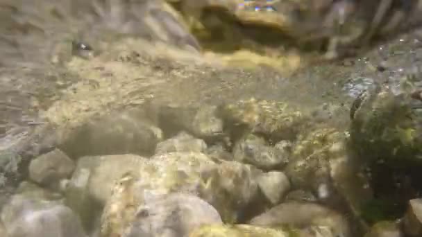 清澈的山溪流过河床上的卵石和岩石 小水带气泡的急流在崎岖的河床上形成 水底散落的石头的近景 — 图库视频影像