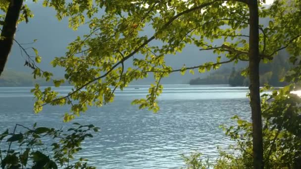 Agua Lago Azul Profundo Detrás Hojas Árboles Verdes Barcos Que — Vídeos de Stock