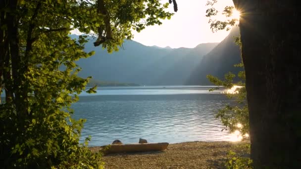 Lens Flare Słońce Zaglądające Pnia Drzewa Brzegu Pięknego Alpejskiego Jeziora — Wideo stockowe