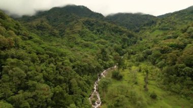 Tepelerin etrafında sis olan yemyeşil bulut ormanlarının nefes kesici manzarası. Sersemletici doğa, serbest akan Caldera nehri ve Chiriqui Eyaleti 'ndeki Panama dağlık arazilerinde el değmemiş yağmur ormanı..