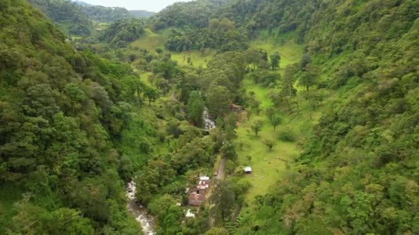 Aerial Narrow Valley Overgrown Exotic Forest Fast Flowing Caldera River — Stock Video