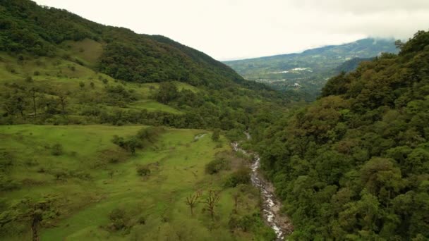 Aérien Paysage Pittoresque Envahi Par Forêt Tropicale Rivière Qui Coule — Video